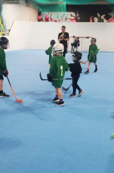 Youth Intro to Ball Hockey (Ages 4-6) Saturdays Only